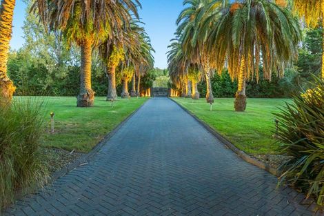 Photo of property in 55 Postman Road, Dairy Flat, Albany, 0794