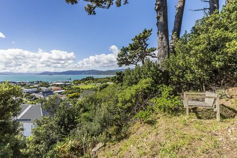 Photo of property in 49 Mantell Street, Seatoun, Wellington, 6022