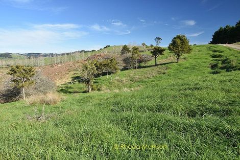 Photo of property in 186 Metcalfe Road, Ranui, Auckland, 0612