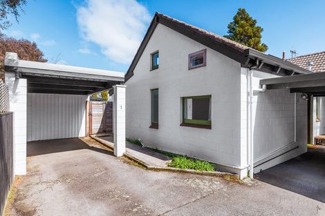 Photo of property in 1/115 Tamamutu Street, Taupo, 3330