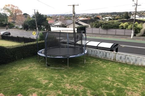 Photo of property in 49 Pinedale Place, Henderson, Auckland, 0610