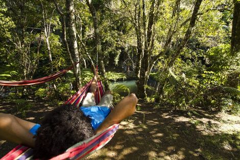 Photo of property in 251 Old Coach Road, Kaimarama, Whitianga, 3591