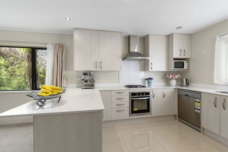Photo of property in 42 Springvale Drive, Fairview Heights, Auckland, 0632