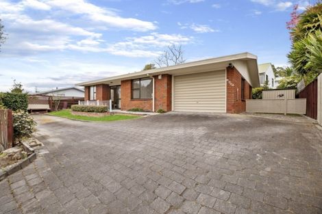 Photo of property in 129b Maungatapu Road, Maungatapu, Tauranga, 3112