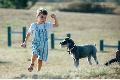 Photo of property in 169 Bremner Road, Karaka, Papakura, 2113