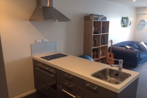 Photo of property in Soho Apartments, 1318/74 Taranaki Street, Te Aro, Wellington, 6011