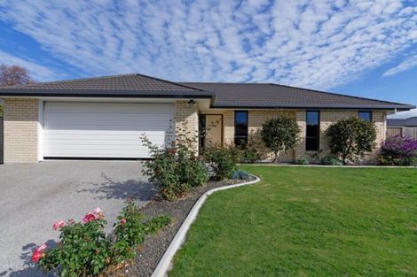 Photo of property in 4 Harriet Court, Richmond, 7020