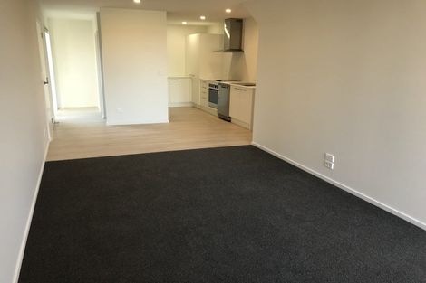 Photo of property in 109a Canon Street, Edgeware, Christchurch, 8013
