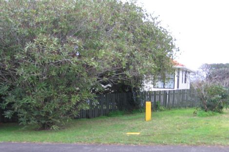Photo of property in 47 Makiri Street, Helensville, 0800