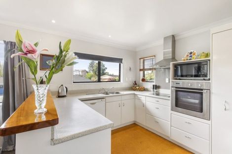 Photo of property in 19 Norrie Street, Te Puke, 3119