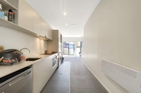 Photo of property in Aniva Terrace, 14 Arney Street, Newtown, Wellington, 6021