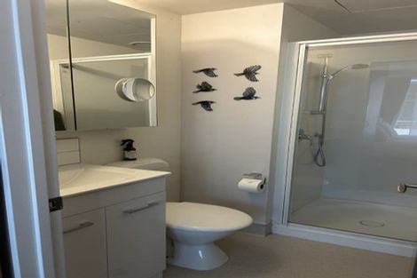 Photo of property in Dual Apartments, 108/142u Vivian Street, Te Aro, Wellington, 6011