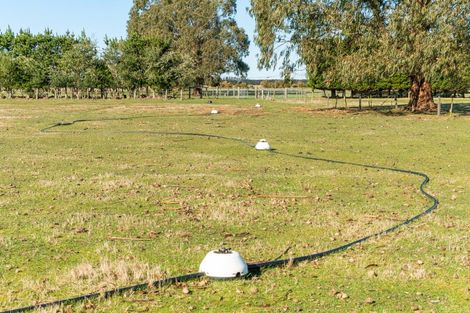 Photo of property in 529 Maronan Road, Winslow, Ashburton, 7778