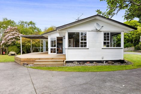 Photo of property in 45b Cassandra Street, Stratford, 4332