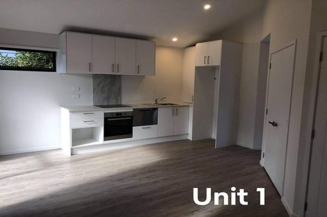 Photo of property in 17 Manhire Street, Spreydon, Christchurch, 8024