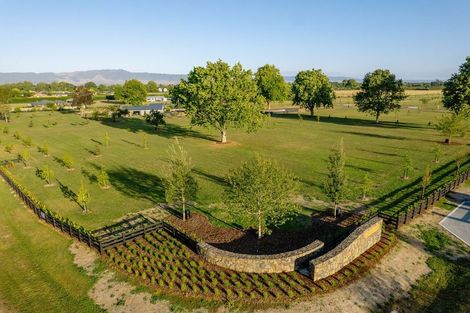 Photo of property in 7 Orchard Place, Matamata, 3472