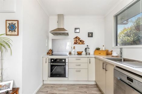 Photo of property in 33 Coopers Road, Gate Pa, Tauranga, 3112
