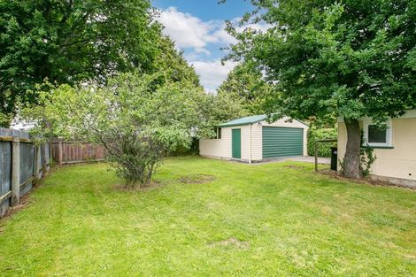 Photo of property in 41 Kummer Crescent, Masterton, 5810