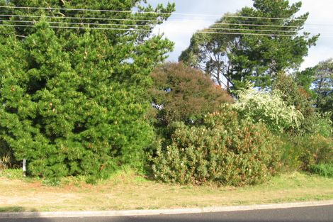 Photo of property in 100 Kotuku Street, Whangamata, 3620