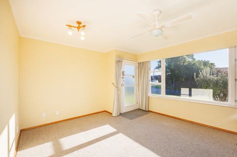 Photo of property in 55 Windsor Street, Terrace End, Palmerston North, 4410