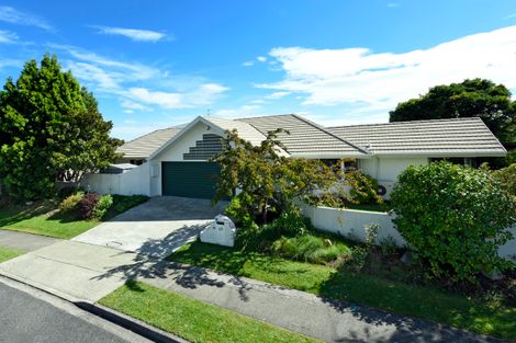 Photo of property in 46 Rochfort Drive, Richmond, 7020