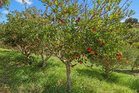 Photo of property in 448 Wainui Road, Raglan, 3297