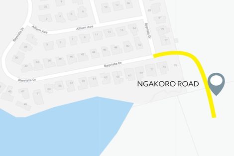 Photo of property in 30 Ngakoro Road, Karaka, Papakura, 2113