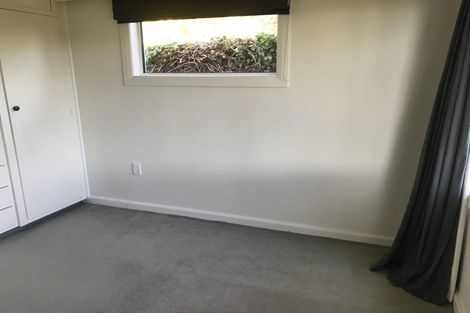 Photo of property in 56 Birdwood Avenue, Beckenham, Christchurch, 8023