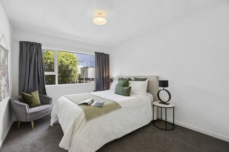 Photo of property in 66b Albert Street, Saint Clair, Dunedin, 9012