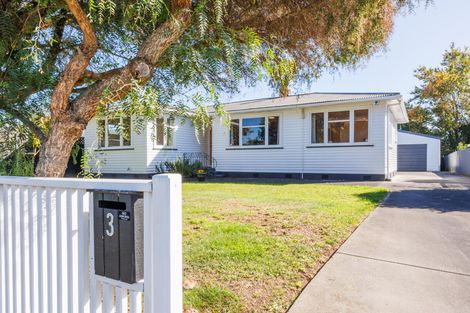 Photo of property in 3 Ilford Place, Awapuni, Palmerston North, 4412