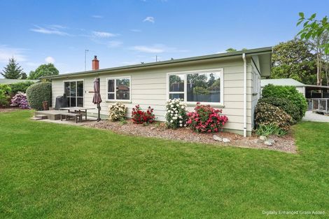 Photo of property in 13 Burgess Street, Pleasant Point, 7903