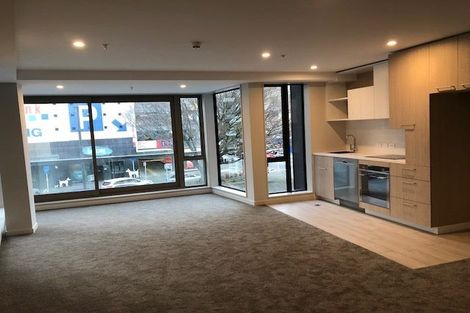 Photo of property in Vsp South, 105/168u Victoria Street, Te Aro, Wellington, 6011