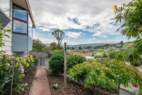 Photo of property in 30 Mcfadden Drive, Mosgiel, 9024