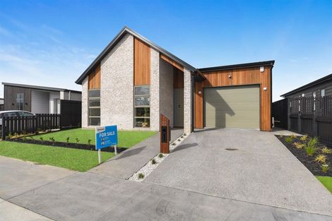 Photo of property in 20 Guillaume Street, Chartwell, Hamilton, 3210