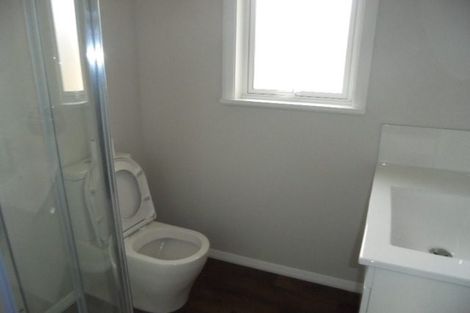 Photo of property in 19 Hannan Street, Levin, 5510