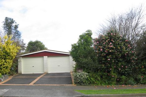 Photo of property in 31 Argyle Avenue, Levin, 5510