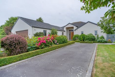 Photo of property in 86 Albert Street, Winton, 9720