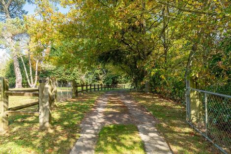 Photo of property in 175 Forest Road, Oruanui, Taupo, 3384