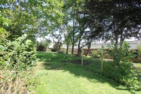 Photo of property in 19 Mcdonald Street, Brockville, Dunedin, 9011