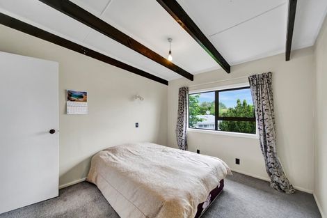 Photo of property in 87 Swansea Road, Stratford, 4332