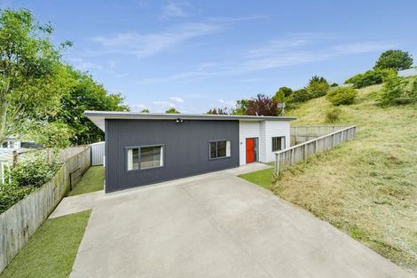 Photo of property in 56a Glasgow Terrace, Feilding, 4702