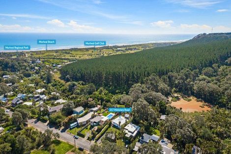 Photo of property in 217 Motutara Road, Muriwai, Waimauku, 0881