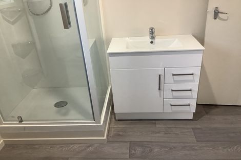 Photo of property in 12 Wellington Street, Hamilton East, Hamilton, 3216