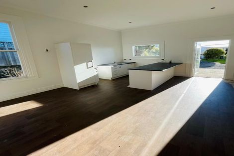 Photo of property in 11 Kilgour Street, Roslyn, Dunedin, 9010