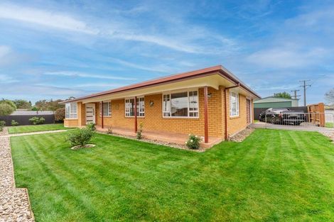 Photo of property in 20 Allnatt Street, Temuka, 7920