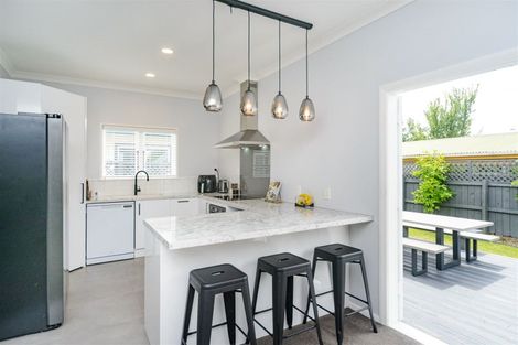 Photo of property in 29 Limbrick Street, Terrace End, Palmerston North, 4410