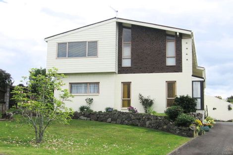 Photo of property in 6 Miriana Street, Maungatapu, Tauranga, 3112