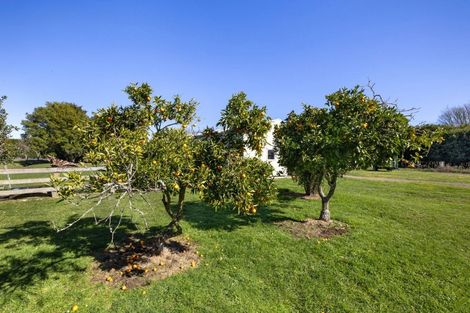 Photo of property in 386 Marshmeadow Road, Newstead, Hamilton, 3286