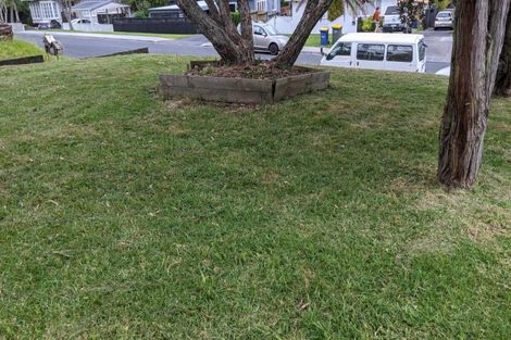 Photo of property in 10 Bishop Street, Green Bay, Auckland, 0604