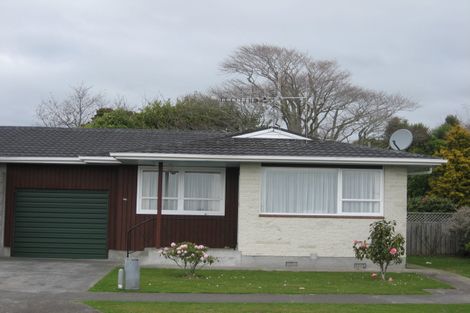 Photo of property in 76 Winchester Street, Levin, 5510